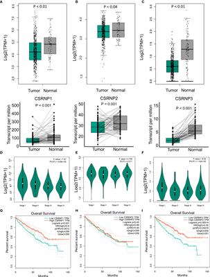 The CSRNP Gene Family Serves as a Prognostic Biomarker in Clear Cell Renal Cell Carcinoma